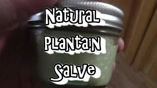 Natural Plantain Salve..A Home Remedy Video!