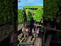 This Machine Plants Hundreds of Seedlings in Seconds! Farming Tech You Must See 🚜🌱