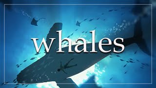 Balina Sesleriyle Derin Rahatlama | Ocean Waves & Whale Sounds for Deep Relaxation