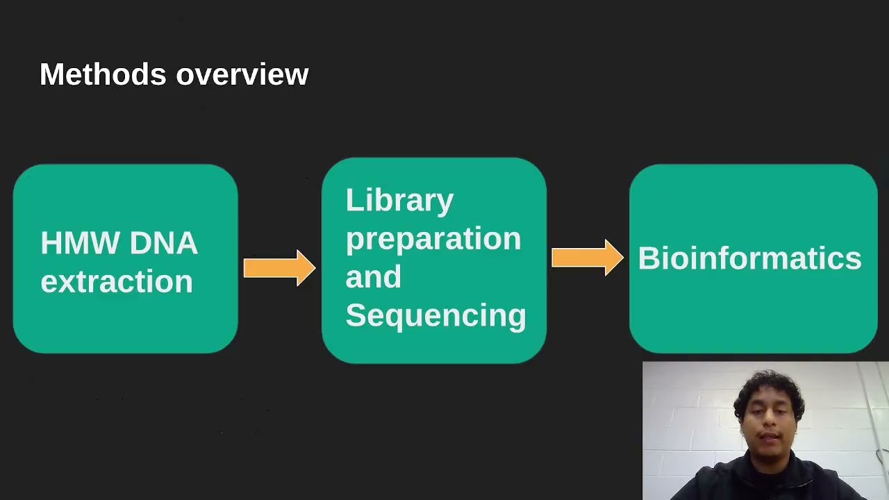 John Mora-Shotgun Genome Sequencing of Furrow Spider Larinioides Cornutus Using Nanopore Long Reads
