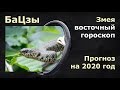 БАЦЗЫ. Прогноз на 2020  год крысы  для людей,  рожденных  в год змеи