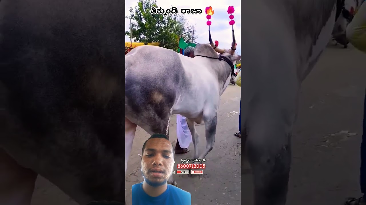 Thikunde Raja||The Original Khillar 