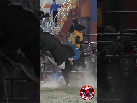 ESTE TORO TIENE EL REPARO MUY ÚNICO IRREPETIBLE.!!