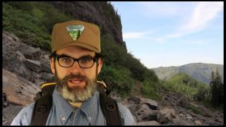 Go Wild Table Rock