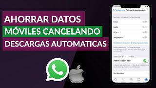Cómo Ahorrar Datos Móviles en un iPhone Cancelando Descargas Automáticas de WhatsApp screenshot 5