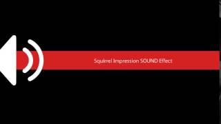 Squirrel Impression SOUND Effect