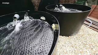 Modern Koi Blog - Heinrichs Doppelter Genesis Bürsten- & Biofilter