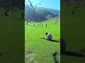 أطفال يلعبون كرة القدم بين هضاب منطقة "قلعه نو" شمال أفغانستان