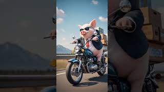 A pigi Dring enjoy with cat #catlover #aicatart #serviciosinmobiliarios #pisos #locales #malgratdema