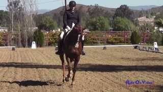 017D Sarah Berry on Counterpoint Intermediate Dressage Copper Meadows March 2014