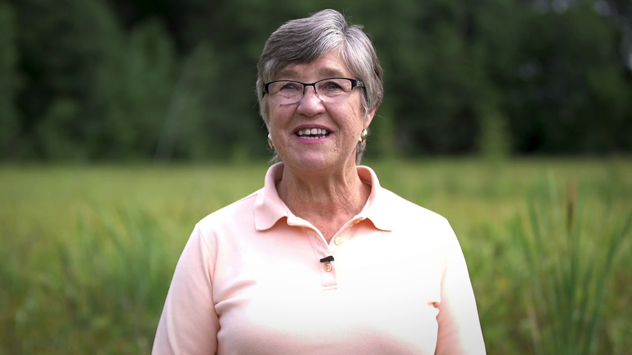 Communities Care for Wetlands: Stone Lake