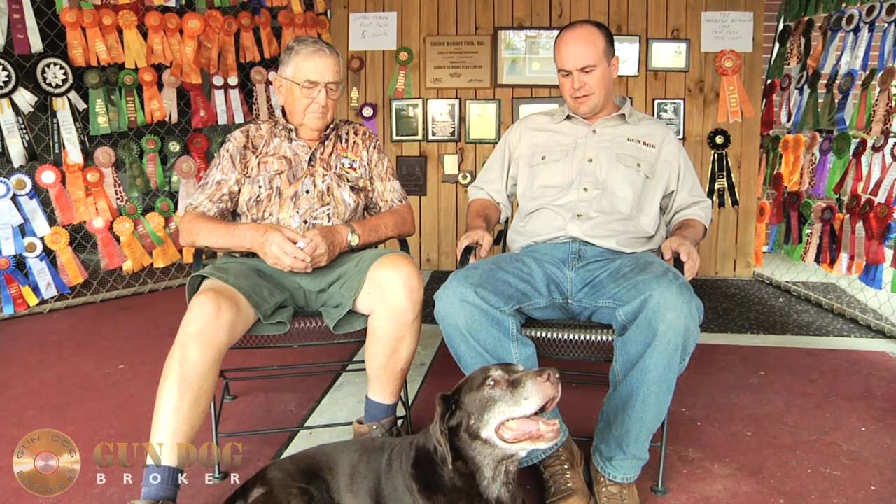 GRHRCH UH Buddy Ryans Jim Bo MH Story, Part 1 Gun Dog Broker YouTube