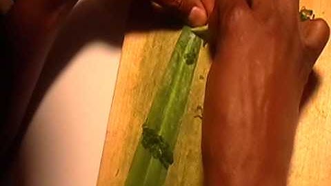 Processing Yucca and Twisting Cordage 2