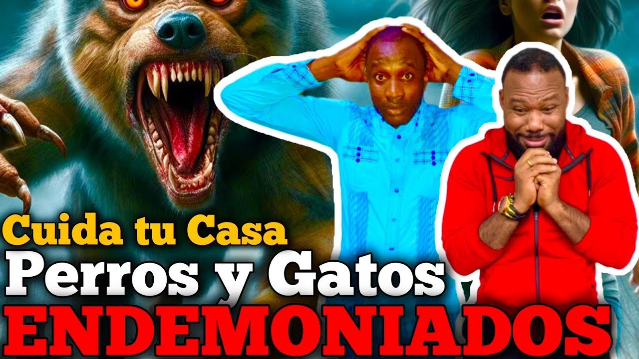 PERROS Y GATOS ENDEMONIADOS SI TIENES ANIMELS MIRA ESTE VIDEO/WESTER YLEON7