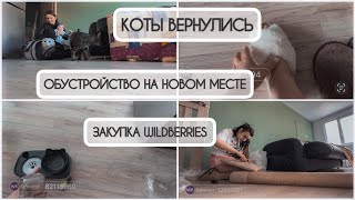 WILDBERRIES • ТОВАРЫ ДЛЯ КОШЕК | РАСПАКОВКА • материнский влог