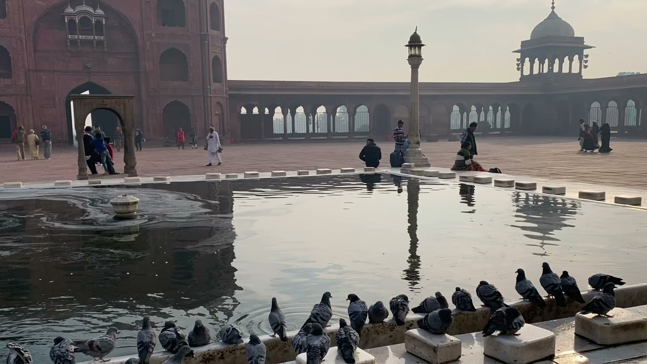 2019 New Delhi Culture and Rituals - Jan 2019