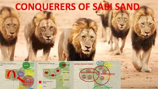 THE MAPOGO STORY : Six Lion Brothers conquer Sabi Sand