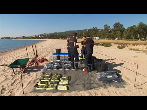 Vidéo: Un Déversement Massif De Cargaisons Au Large Des Côtes Australiennes Menace La Vie Marine - Réseau Matador