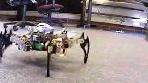 Hexapod Tripod Gait