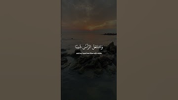اذ نادى ربه نداء خفيا | سورة مريم | شريف مصطفى