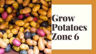 Growing Potatoes in Zone 6