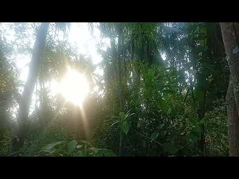 Good Morning Pilipinas#viralvideoシ