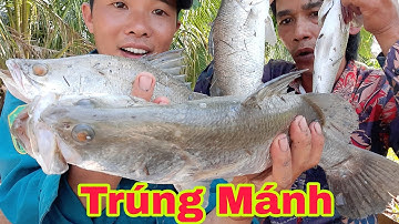 46 | Câu Cá Chẻm Siêu To Cùng Hiếu TV | Hiếu Lãng Tử Vlog