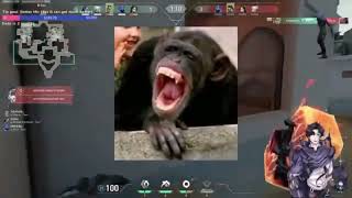 The wheeze laughing Compilation | Try Not to Laugh challenge