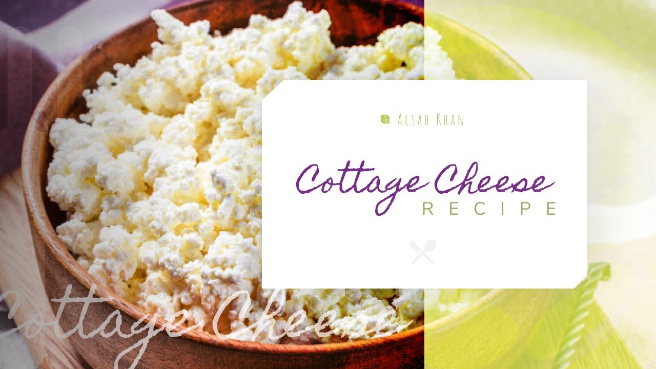 Cottage Cheese Recipe Homemade Easy & Delicious YouTube
