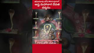 asta maha naga devata darshanam#Kala sarpa doshalu tolugutai#Sri naga devatabyonamaha🙏🪷🌸🪷🙏