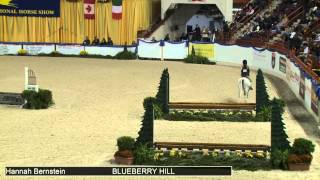 692 BLUEBERRY HILL Hannah Bernstein, Class 2 Small Pony Hunter Conformation