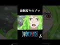 海賊狩りのゾロ #麦わらの一味 #onepiece #アニメ #ワンピース #ロロノアゾロ #ゾロ