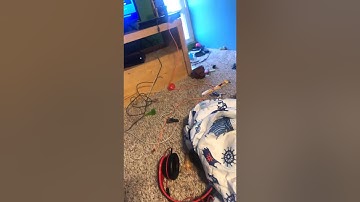 Get your lazy ass up