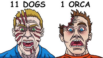 The Most Painful Zoo Deaths Ever