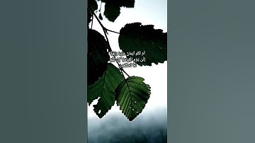 #سورة القلم بصوت اسلام صبحي ♥️#القرآن الكريم #سورة القلم