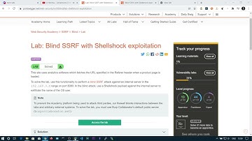 Blind SSRF + Shellshock - Portswigger Labs - NO EXTENSIONS