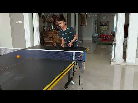 Types of ANNOYING opponents in ping pong (part 1)