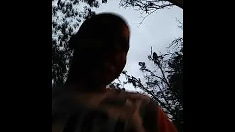 Shooting my sister BB gun