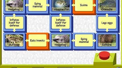 RuffMan GamePlays: Link-O-Vision (#13)