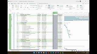 Waterfall and agile In Microsoft Project screenshot 3