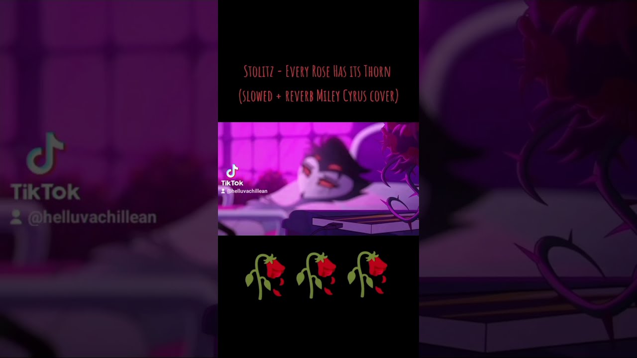  Blitzo Helluvabossblitzo Helluvaboss Queer Stolas Stolitz Helluvabossseason2 Mileycyrus Gay