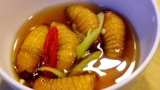 Giant Maggots - Coconut Worms as a Snack in Restaurants - Vietnam