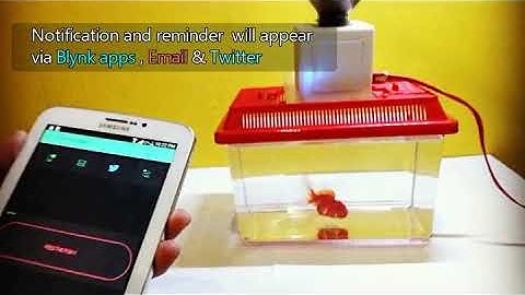 IoT Fish Feeder using Blynk