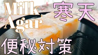 【Milk Agar】relief of constipation♡寒天はおいしくて優秀！！！便秘解消