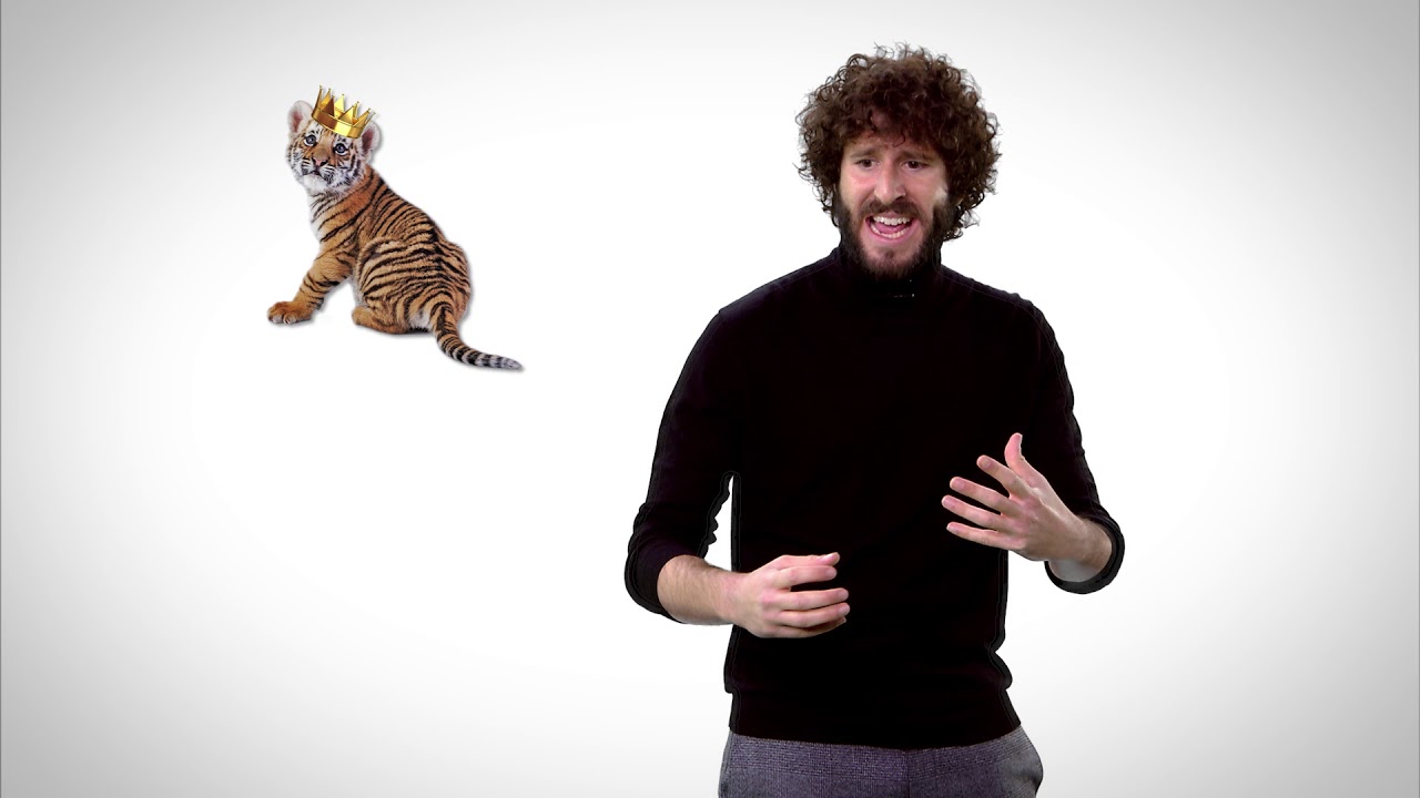 lil dicky tiger shirt