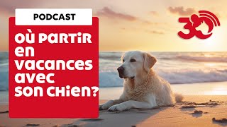 Podcast - Que faire avec son chien cet été ?