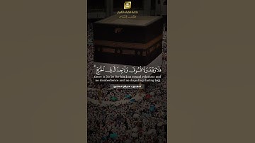 تلاوة الشيخ هيثم الدخين