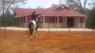 Mr Smokin Okey Riding2 4215