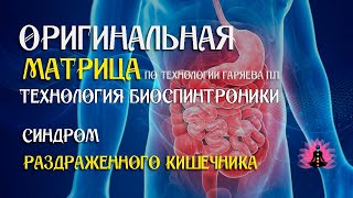 Синдром раздраженного кишечника ⚠️ Оригинальная матрица по технологии Гаряева П П ☀️ SoftRadio ru