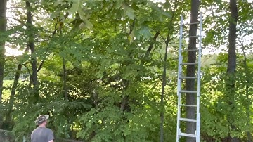 I got my zohd dart 250g back